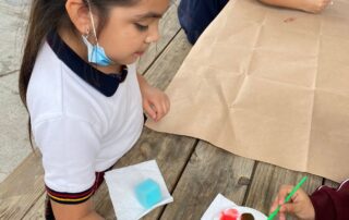 Curso: Leo y comprendo - EXCELDUC