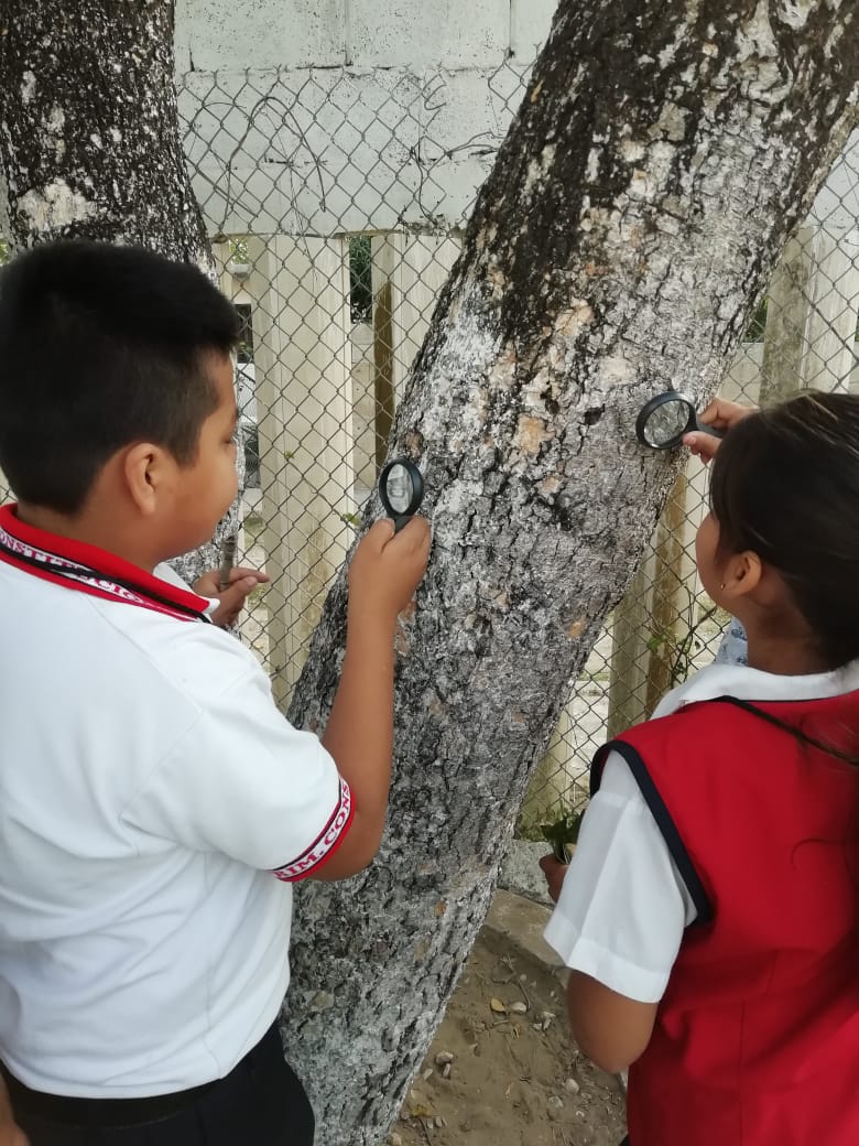 Curso: Disfrutando la Ciencia - EXCELDUC